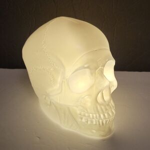 Skull Accent Light Iridescent White Plastic with On Off Switch NWOT